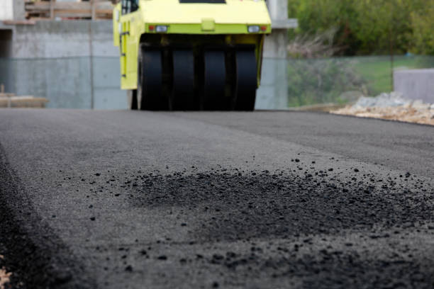 Best Custom Driveway Pavers  in Aquia Harbour, VA